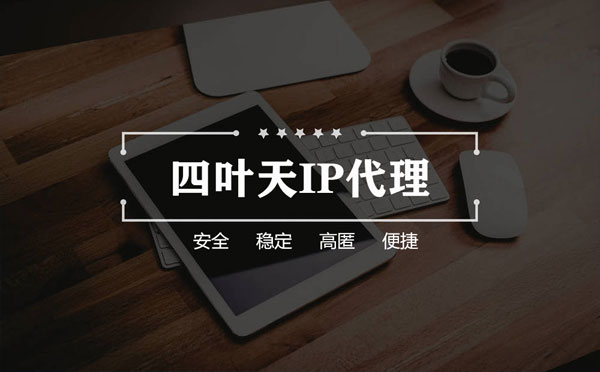 【肇庆代理IP】如何快速搭建代理IP？怎么检查代理的效果？